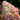 Hydrangea Tree - Vanilla Strawberry