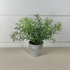 Faux Potted Fern - Asparagus