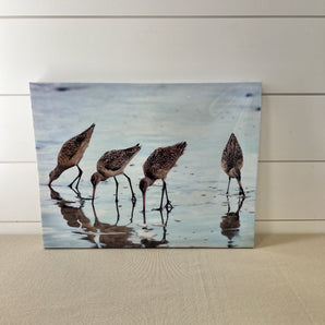 Canvas Wall Art - Birds on Shore