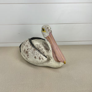 Sitting Pelican