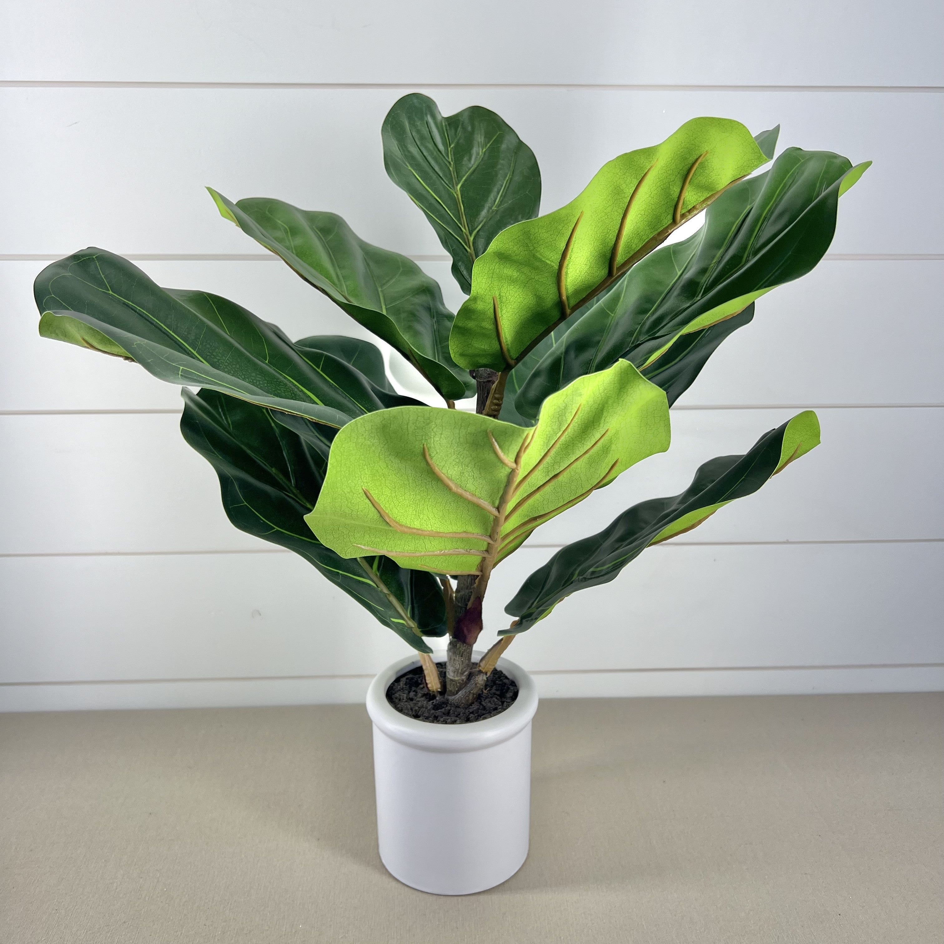 fiddle leaf fig tree gift Faux Tree in Pot