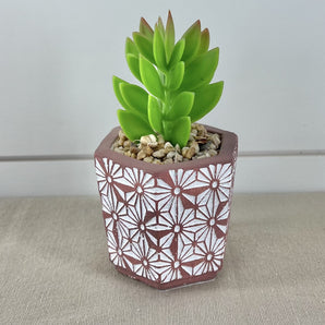 Succulent in Daisy Pot - Pink