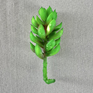 Faux Succulent Pick - Green