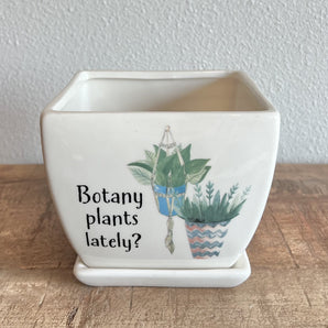 Witty Pot with Saucer - Botany