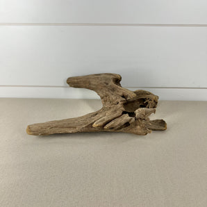 Dragon Bone Wood - Brown