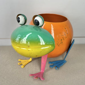 Metal Planter - Colorful Frog