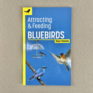 Attracting & Feeding - Bluebirds