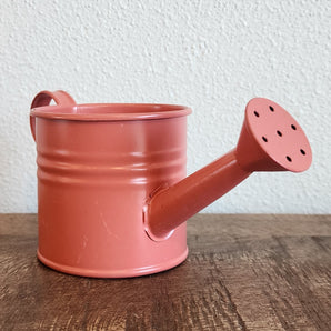 Mini Watering Can Pot - 3''
