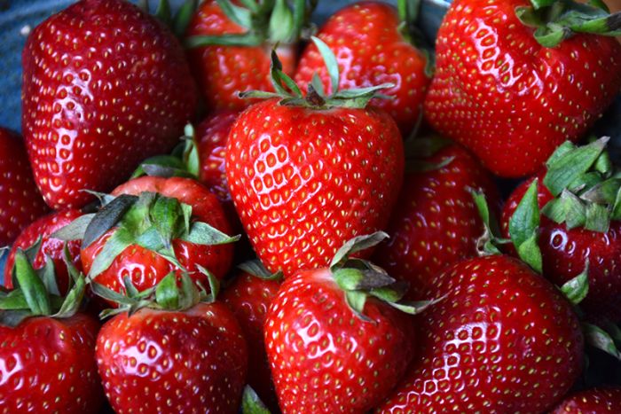 albion strawberry seeds Strawberry