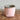 Sorbet Pot - Pink