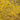 Forsythia - Northern Gold