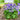 Columbine - Kirigami Blue & White