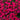 Dianthus - Maiden Zing Rose