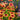 Blanket Flower - Goblin