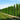 Arborvitae - Skybound