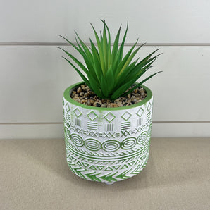 Cement Pot with Succulent - Green
