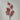Crabapple Stem - Red