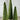 Petal Leaf Cone Tree - Dark Green