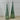Tree - LED Sage Green Ribbed