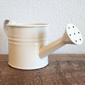 Mini Watering Can Pot - 3''