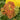 Yarrow - Desert Eve Terracotta