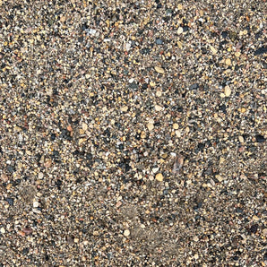 BIN #25 Bulk Sand - Washed Coarse Fill