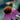 Coneflower - Purple