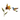 Hummingbird Flower Stake - Purple Coronet