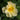 Rose - Oscar Peterson