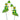Frog Bowtie Bobble Plant Stick