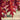 Oak - Northern Red
