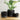 Modernized Pottery Sakura Planter