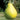 Pear - Ure
