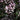 Beardtongue - Dakota Burgundy