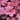 Coral Bells - Berry Smoothie