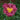 Daylily - Bettylen