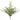 Faux Black Locust Leaf Bush