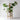 Kanso Designs Coco Coir Moss Pole