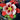 Columbine - Swan Red & White