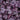 Coral Bells - Forever Purple