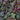 Coral Bells - Palace Purple