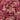 Coral Bells - Peach Flambe