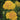 Yarrow - Desert Eve Terracotta
