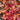 Coral Bells - Fire Alarm