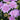 Pincushion - Flutter Deep Blue