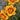 Daylily - Fooled Me