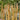 Grass - Indiangrass Golden Sunset