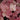 Coral Bells - Georgia Peach