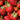 Strawberry - Honeoye