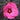 Hibiscus - Inner Glow
